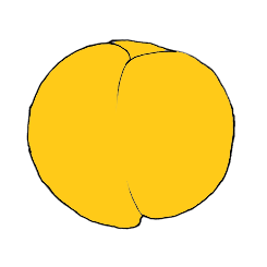 LtPlodyTvarKulovity