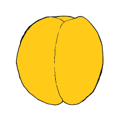 LtPlodyTvarOvalny