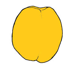 LtPlodyTvarPlochy