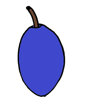 LtPlodyTvarSvestkovity